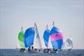 J/24 during the monday.com ICRA National Championships © David Branigan / Oceansport