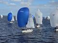 &copy; USA J/24 Class Association