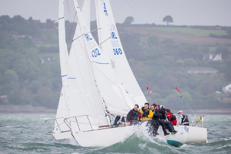Day 2 of the ICRA Nationals in Crosshaven photo copyright David Branigan / Oceansport taken at Royal Cork Yacht Club and featuring the J/24 class