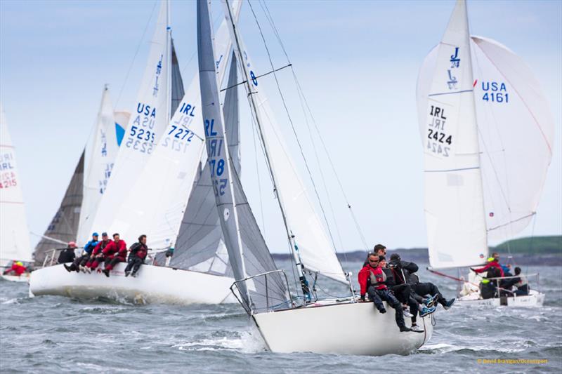 JP McCaldin and the crew of Jamais Encore from Lough Erne win the Mespil Hotel J/24 Irish Nationals at Sligo - photo © David Branigan / Oceansport