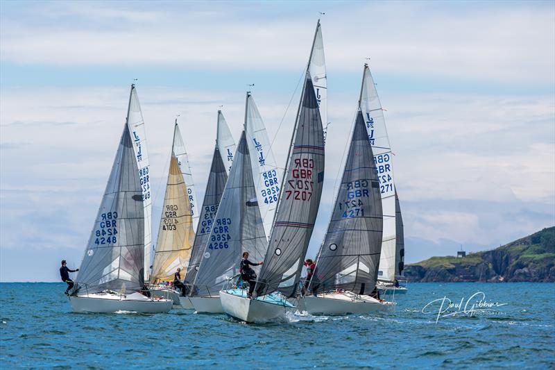 J/24s at the PPSA Port of Plymouth Regatta - photo © Paul Gibbins Photography