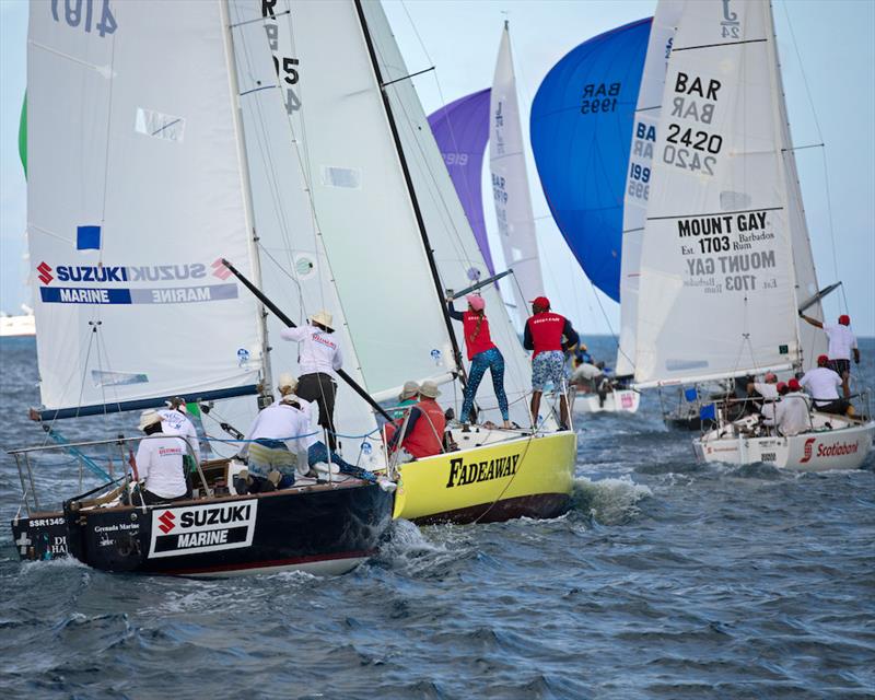 Four J/24 races, four different winners - Barbados Sailing Week 2018 - photo © Peter Marshall / BSW