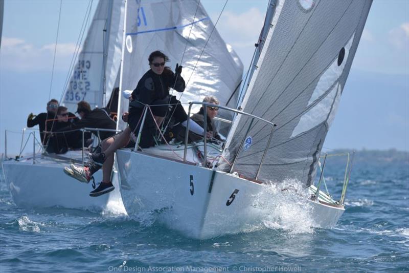 Day 3 - J/24 European Championship at Patras, Greece photo copyright Christopher Howell taken at  and featuring the J/24 class