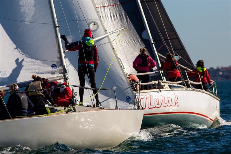 Gridlock and Merak sparring - Australian Women's Keelboat Regatta photo copyright Bruno Cocozza / AWKR taken at Royal Melbourne Yacht Squadron and featuring the J/24 class
