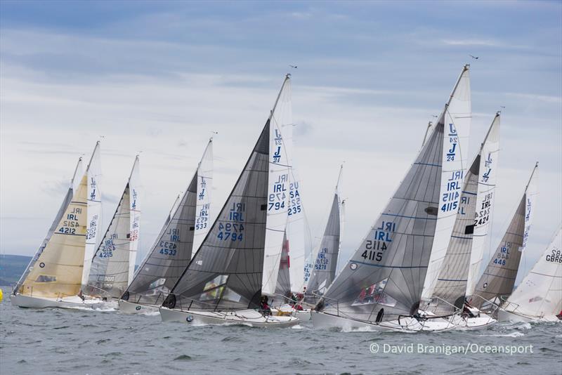 J24 National Championship 2017 photo copyright David Branigan / Oceansport taken at Howth Yacht Club and featuring the J/24 class