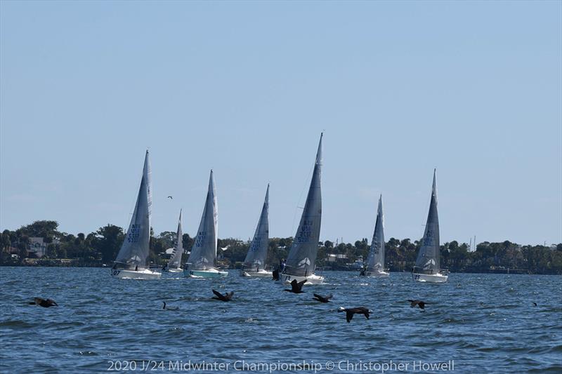 Final Day - 2020 J/24 Midwinter Championship photo copyright Christopher Howell taken at Eau Gallie Yacht Club and featuring the J/24 class