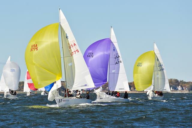 Downhill J/24 racing action - photo © Downwind J/24 racecourse action