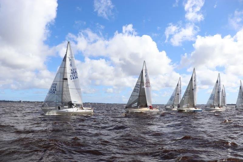 Kings Day Regatta 2020 photo copyright Tia Pearl taken at The Florida Yacht Club and featuring the J/24 class