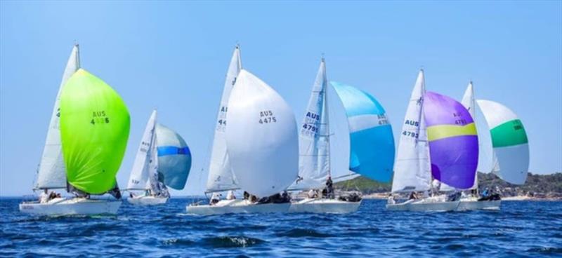 Australia J/24 NSW State Championships 2021 photo copyright J/Boats taken at RAN Sailing Association and featuring the J/24 class