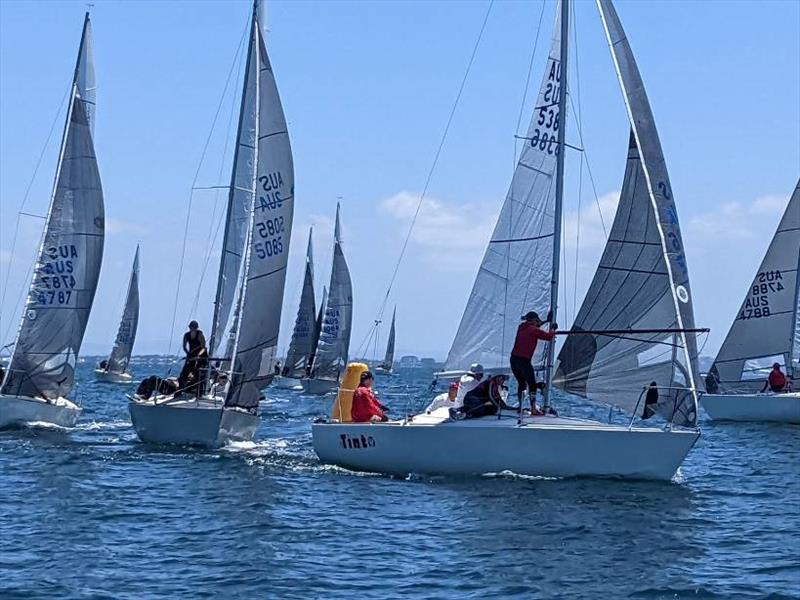 Australian J/24 Nationals photo copyright J24 Victoria taken at Sandringham Yacht Club and featuring the J/24 class