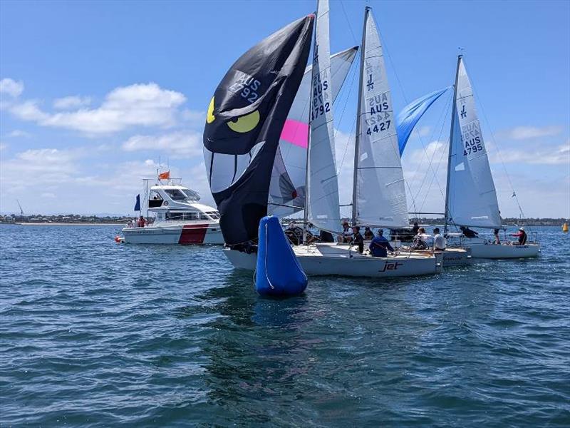 Australian J/24 Nationals photo copyright J24 Victoria taken at Sandringham Yacht Club and featuring the J/24 class
