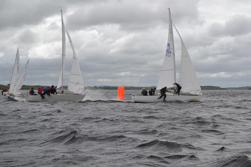 Il Riccio leading Hard on Port during race 5 of the 2022 Irish J24 Northern Championships  photo copyright LEYC taken at Lough Erne Yacht Club and featuring the J/24 class