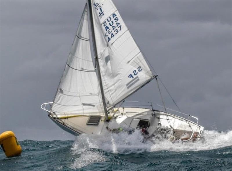 Australian J/24 Nationals photo copyright Marg's Yacht Photos taken at Cronulla Sailing Club and featuring the J/24 class