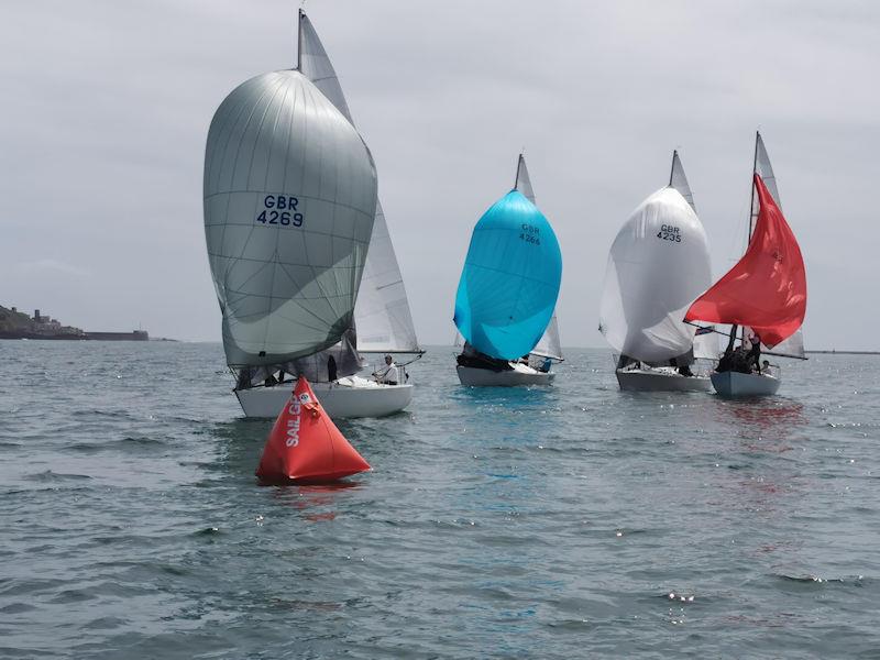 J/24 UK Nationals at Plymouth photo copyright Lorna Graham taken at Port of Plymouth Sailing Association and featuring the J/24 class