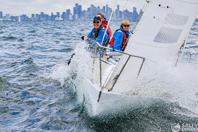 2024 Festival of Sails Passage Race photo copyright Salty Dingo taken at Royal Geelong Yacht Club and featuring the J/24 class