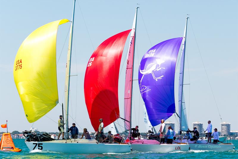 2025 J24 Midwinter Championship photo copyright Marco T Oquendo taken at  and featuring the J/24 class