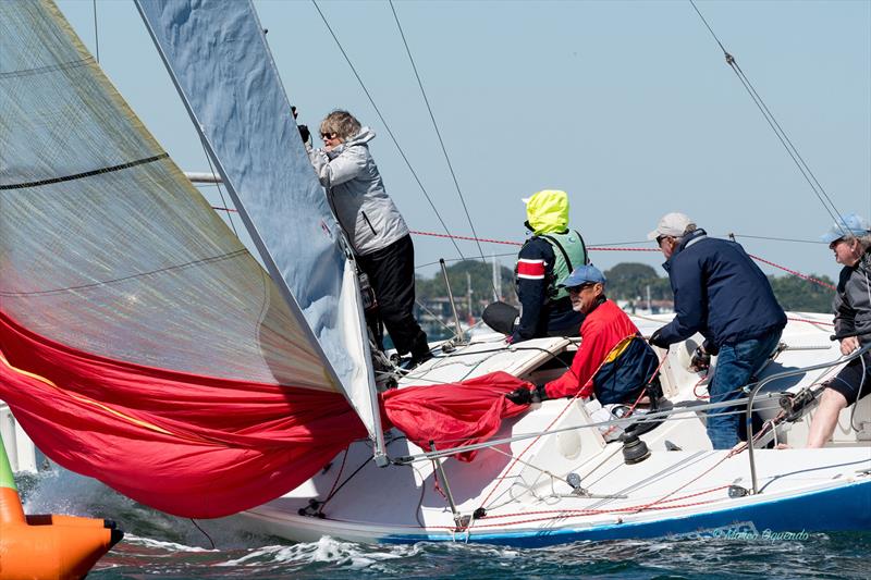 2025 J24 Midwinter Championship photo copyright Marco T Oquendo taken at  and featuring the J/24 class