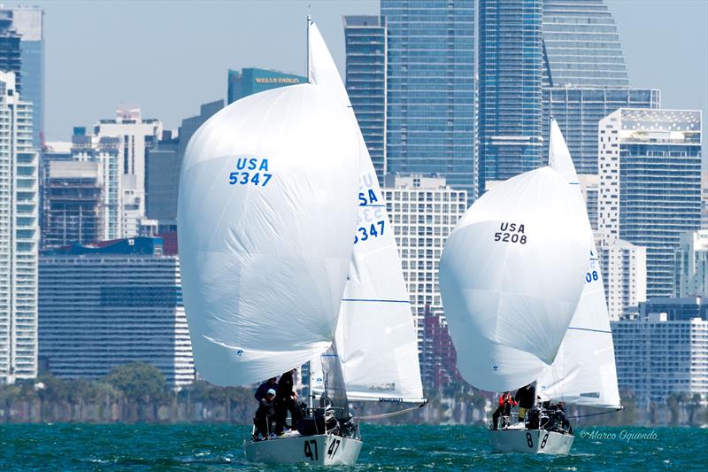 2025 J24 Midwinter Championship photo copyright Marco T Oquendo taken at  and featuring the J/24 class