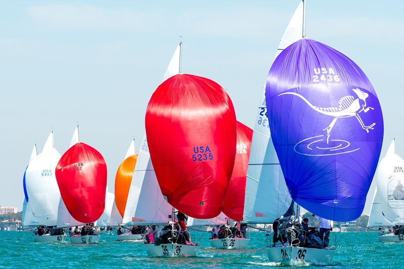 2025 J24 Midwinter Championship photo copyright Marco T Oquendo taken at  and featuring the J/24 class