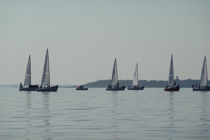 J/24 US National Championship 2025 photo copyright USA J/24 Class Association taken at Florida Yacht Club and featuring the J/24 class