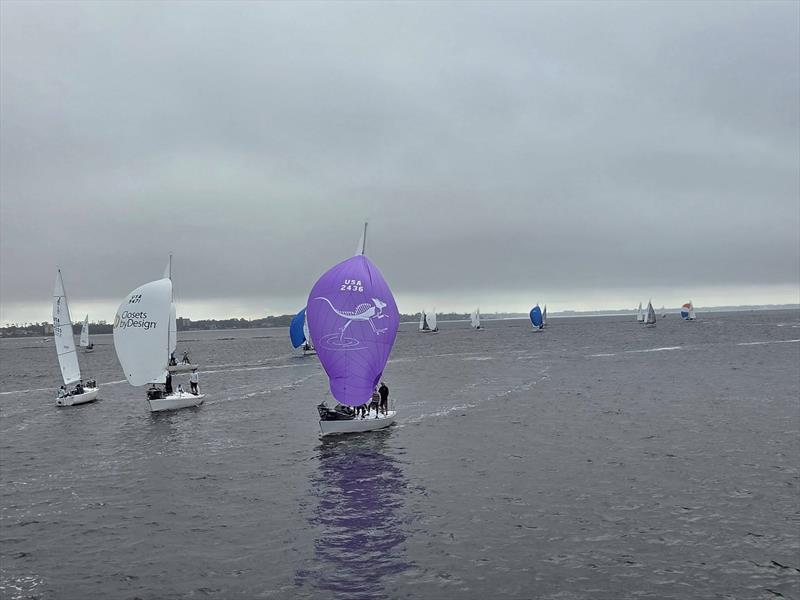 2026 J/24 Midwinter Championship day 3 photo copyright USA J/24 Class Association taken at Florida Yacht Club and featuring the J/24 class