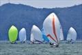 2018 J 70 North American Championship - Day 1 © J/70 International Class Association