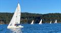 Orcas Island J/70 fleet wins US Sailing Club Award © Ryan Carson Photography