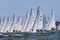 J/70 Corinthian European Championship 2025 in Cascais, Portugal © Neuza Aires Pereira / BOW Media