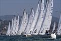 &copy; Neuza Aires Pereira / Clube Naval de Cascais