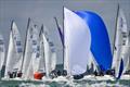UK J70 Class racing &copy; James Tomlinson