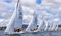 Cascais J/70 Spring Cup day 3 &copy; Neuza Aires Pereira