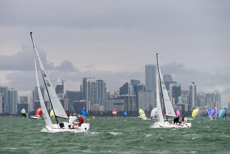 Bacardi Miami Sailing Week final day photo copyright Cory Silken taken at Coral Reef Yacht Club and featuring the J70 class