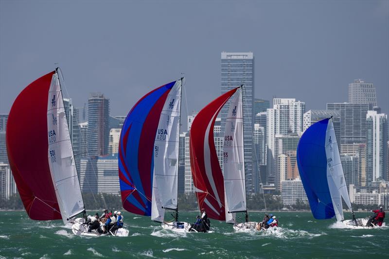 Racing on day 4 at Bacardi Miami Sailing Week photo copyright Cory Silken taken at Coral Reef Yacht Club and featuring the J70 class