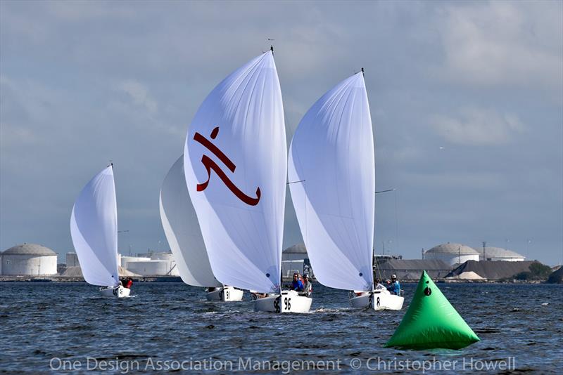 2019 J/70 Winter Series 3 photo copyright Christopher Howell taken at Davis Island Yacht Club and featuring the J70 class