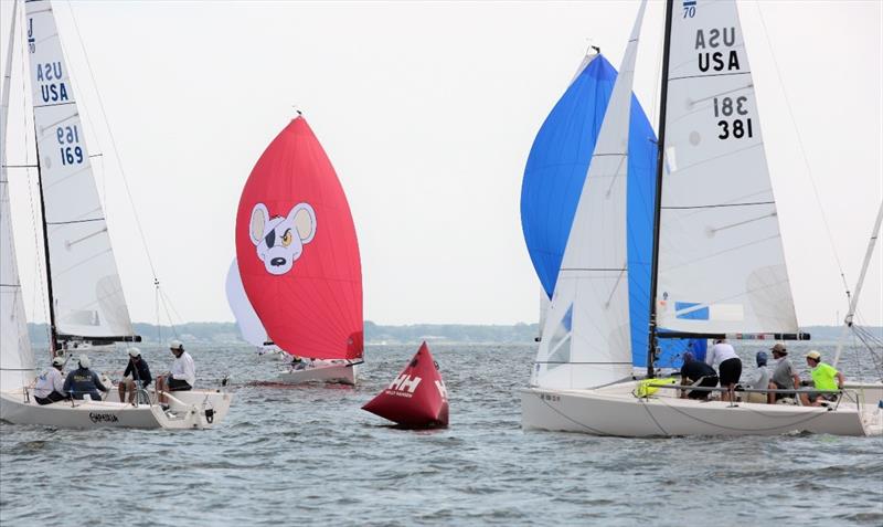 Empeiria (USA 169) currently leads the J/70 fleet - 2020 Helly Hansen NOOD Regatta Annapolis - Day 1 - photo © Will Keyworth