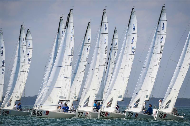 All set for the Bacardi Cup Invitational Regatta  photo copyright Martina Orsini taken at Coconut Grove Sailing Club and featuring the J70 class