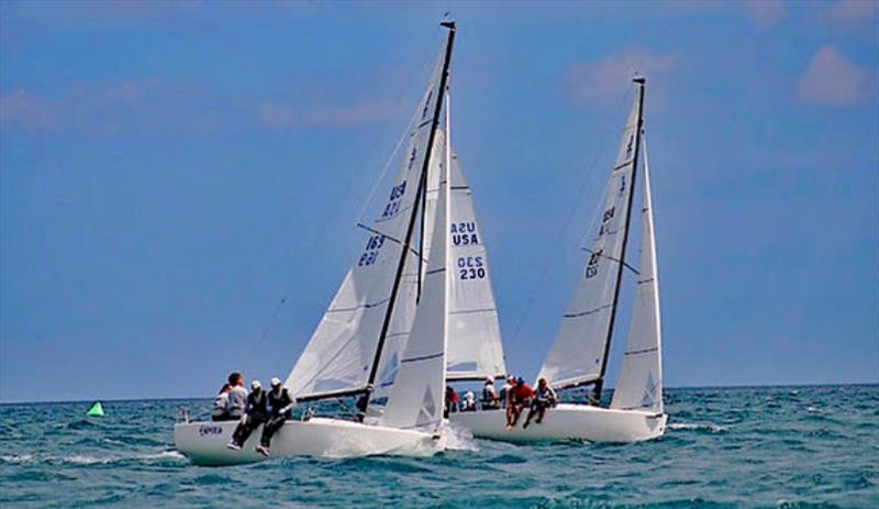 Verve Cup Inshore Regatta 2022 photo copyright Chicago Yacht Club taken at Chicago Yacht Club and featuring the J70 class