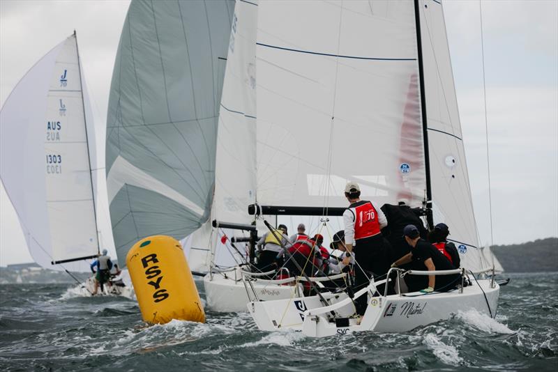 2024 J/70 NSW Championship, Day 2 photo copyright Darcie Collington Photography taken at Royal Sydney Yacht Squadron and featuring the J70 class