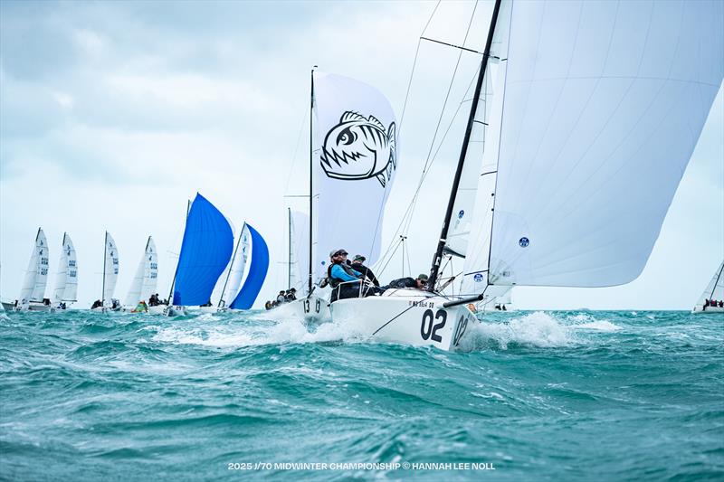 2025 J70 Midwinter Championship - photo © Hannah Lee Noll