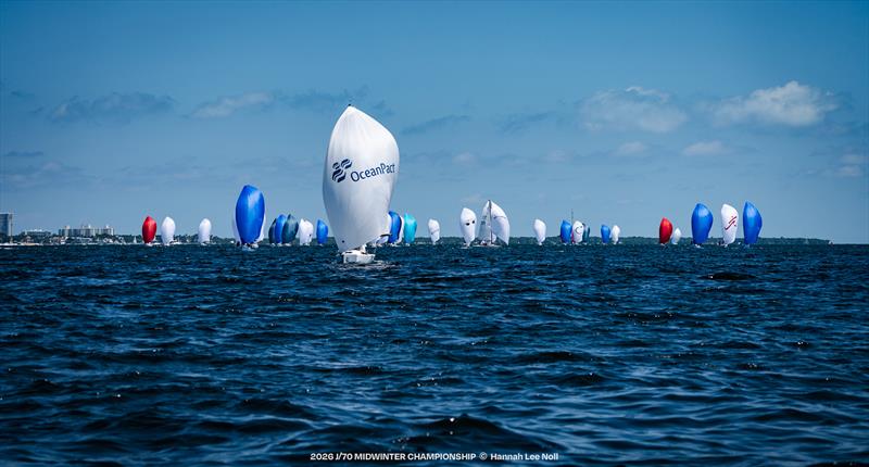 2026 J/70 Midwinter Championship - photo © Hannah Lee Noll
