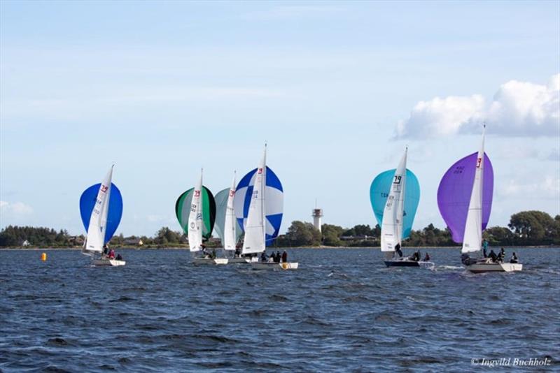 German J/80 Championship 2019 photo copyright Ingvild Buchholz taken at Flensburger Segel-Club and featuring the J80 class