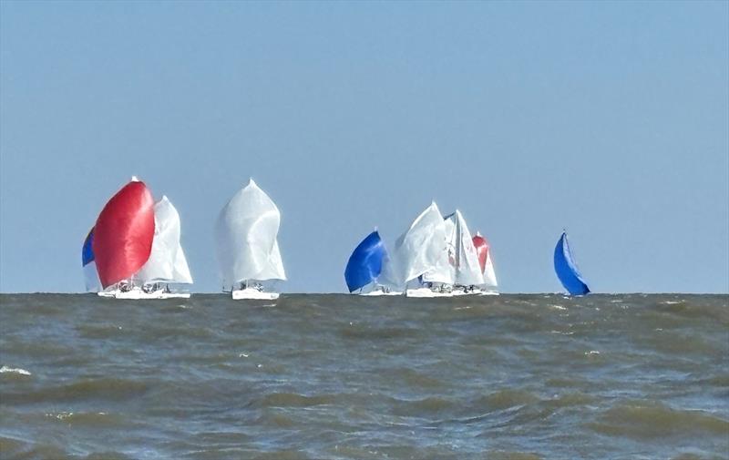 J/80 North American Championship 2025 day 1 photo copyright J80 North American Class Association taken at Southern Yacht Club and featuring the J80 class