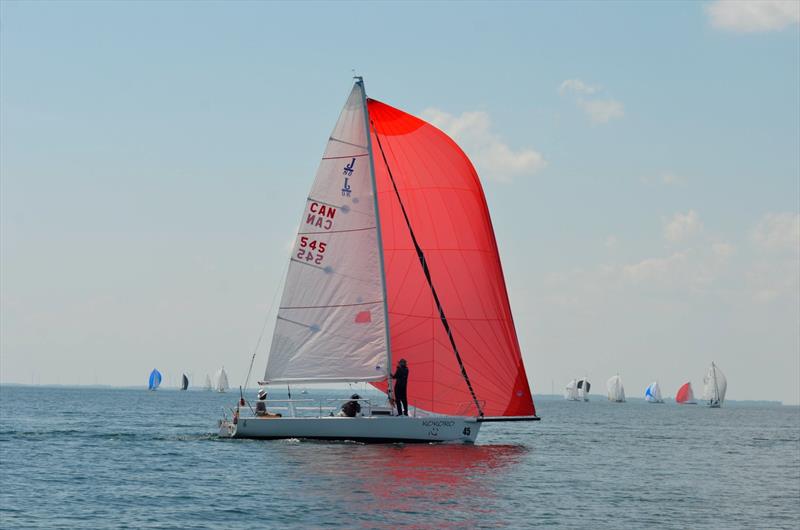 2026 J/80 North American Championship at CORK Sail Kingston photo copyright J/80 North American Class Association  taken at  and featuring the J80 class
