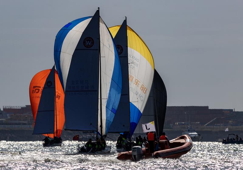 2023 World Bay Area Regatta  photo copyright Guy Nowell taken at  and featuring the J/88 class