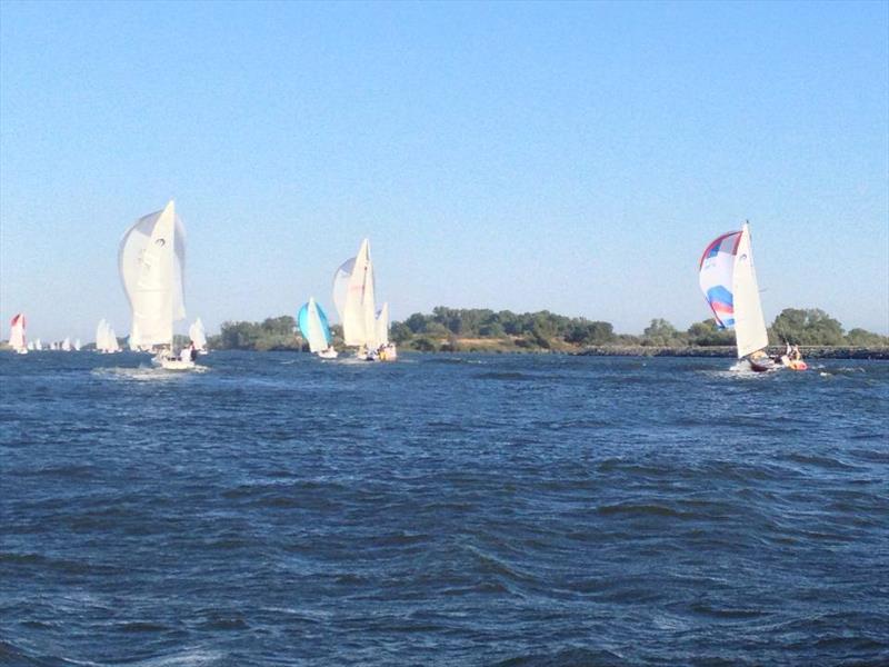 Delta Ditch Run photo copyright Delta Ditch Run taken at Stockton Sailing Club and featuring the J Class class