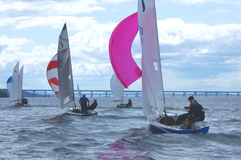 Kestrel Scottish Championship at Royal Tay YC - photo © Steve Smyth