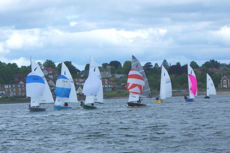 Kestrel Scottish Championship at Royal Tay YC photo copyright Steve Smyth taken at Royal Tay Yacht Club and featuring the Kestrel class
