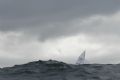 A bit of everything on day four of the Lark nationals at Penzance