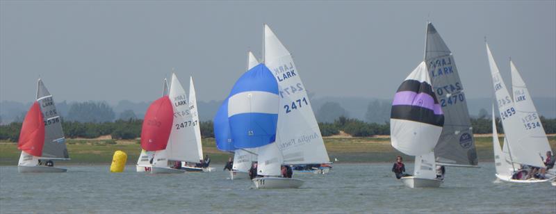 GJW Direct Helly Hansen Lark Great 8 at Marconi photo copyright Jenny Ball taken at Marconi Sailing Club and featuring the Lark class