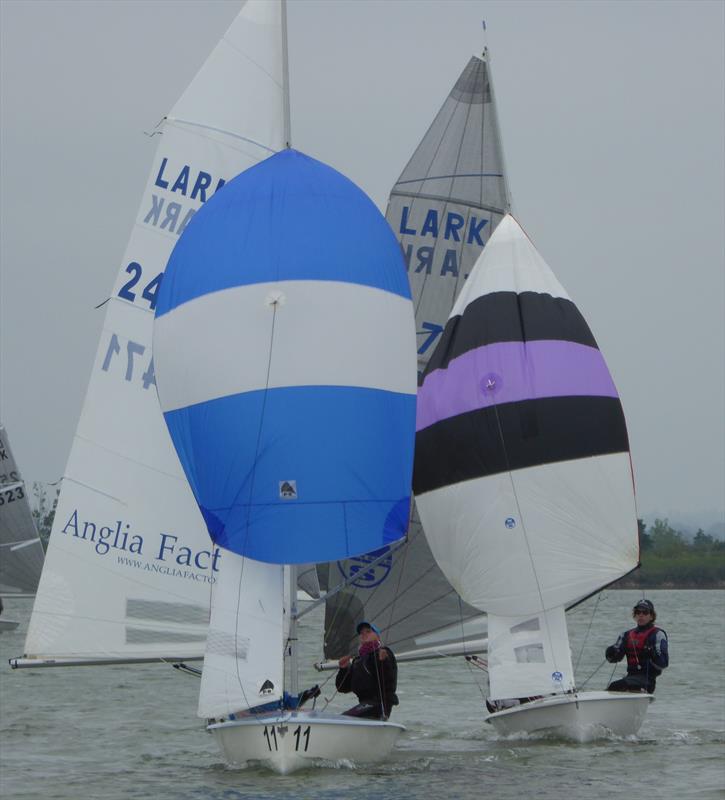 GJW Direct Helly Hansen Lark Great 8 at Marconi photo copyright Jenny Ball taken at Marconi Sailing Club and featuring the Lark class